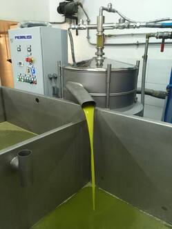 huile d'olive olivenol first premiere aceite oliva qualite spanisch spain espagnol